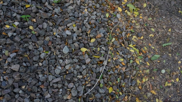 A pile of rocks and leaves on the ground photo