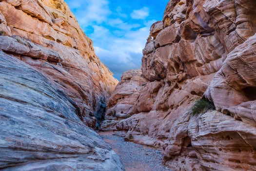 Panoramic picture of colorful rock formation in the valley of fire state park in Nevada x photo
