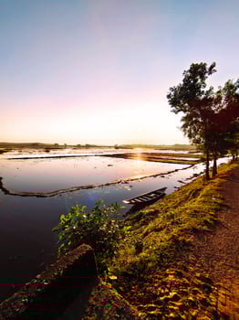 Nature view village river Bangladesh lakes, scenery, journey, forest, beauty, adventure, landscape, sky, tree, background, green, natural, beautiful, water, sun, morning, boat photo