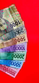 Portrait of Indonesian 1,000 to 100,000 rupiah banknote isolated on red background. photo