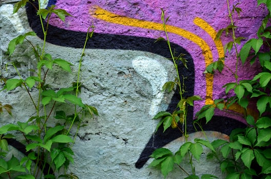 Beautiful street art graffiti. Abstract color creative drawing fashion colors on the walls of the city. Urban Contemporary Culture. Title paint on walls. Culture youth protest photo