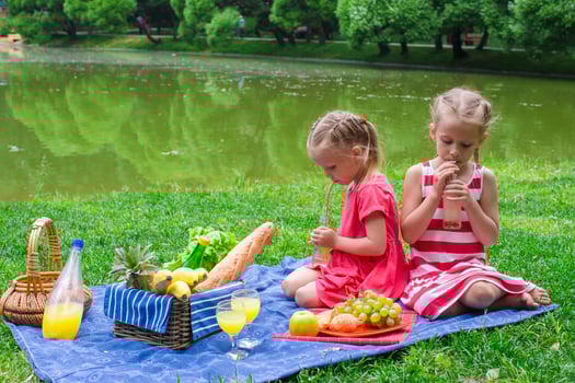 Two little kids on picnic in the park photo