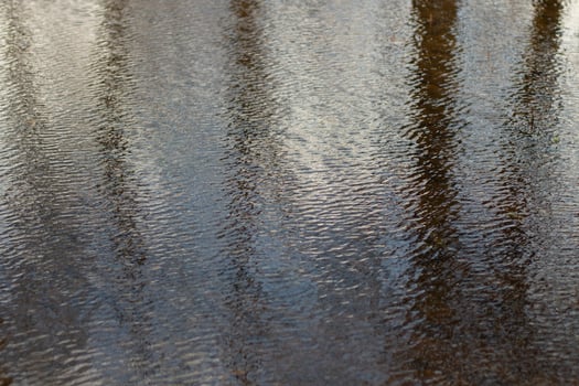 Waves on water. Wind on surface of water. Reflection in puddle. photo
