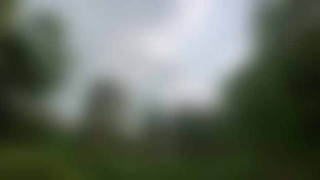 defocused beautiful and amazing blurred nature background photo