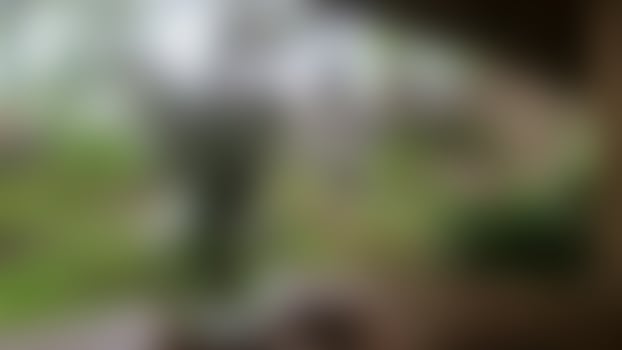 defocused beautiful flowers on the wooden table on a rainy day photo