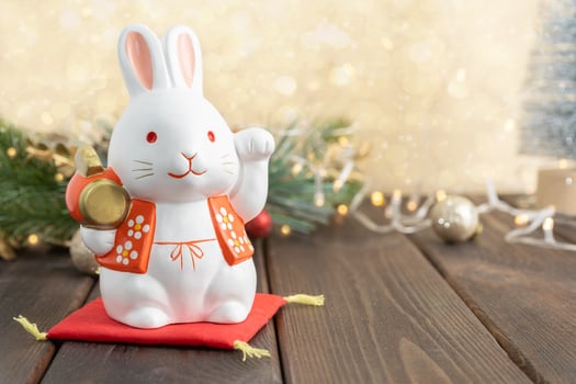 Symbol of the New Year of the rabbit. New Year greeting card of 2023. photo