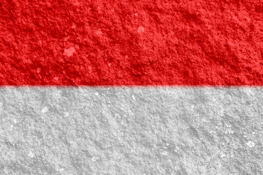 Indonesian flag texture as a background photo