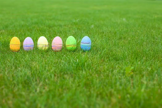 Multi-colored Easter eggs on green grass photo
