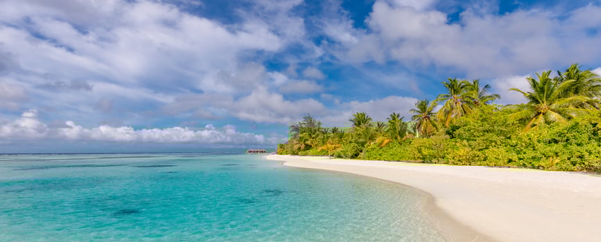 Tropical paradise beach with white sand and coco palms travel tourism wide panorama background concept. Beautiful beach nature, summer vacation and holiday concept. Sea sand sky, peaceful nature view photo