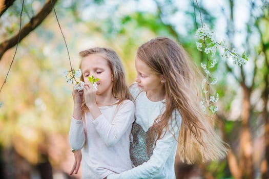 Adorable little girls in blooming cherry tree garden on spring day photo