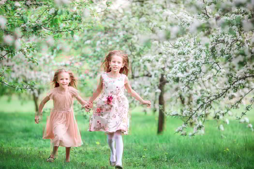 Adorable little girls in blooming cherry tree garden on spring day photo
