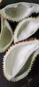 Portrait of zibethinus durian skin or commonly known as durian fruit. This fruit is often referred to as the king of fruit because it has a very delicious taste photo