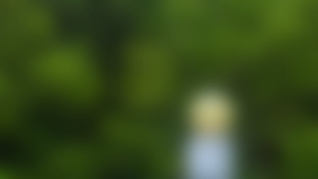 defocused lights on the railing on the pier photo