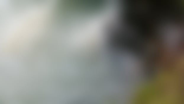 defocused wavy water with bark as background photo