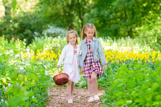 Spring garden, spring flowers, adorable little girls and tulips. Cute kids with a basket in blooming garden on warm day photo
