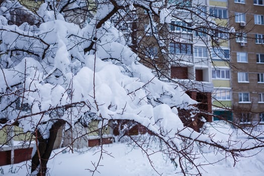 fresh snowbound city photo