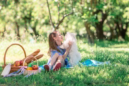 Two little kids on picnic in the park photo