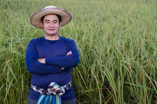 Asian male farmer wear hat ,cross his arms on chest and stands at paddy field. Feel happy, confident and proud in crops. Concept , Agricultural occupation. Thai farmer. photo