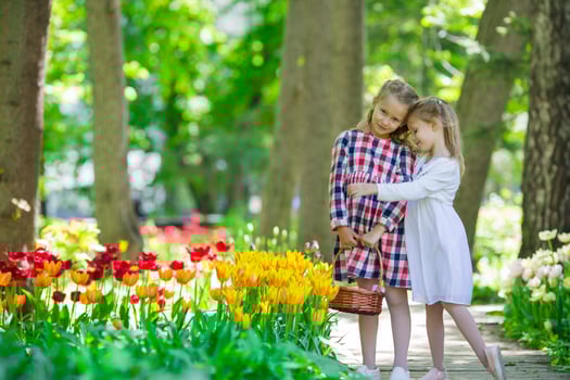 Little adorable girls walking in lush garden of tulips photo