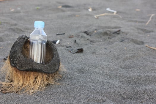 photo of a plain used bottle with daylight