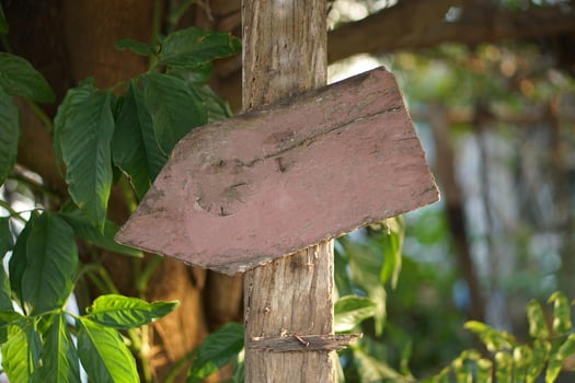 decayed old wooden sign nature background photo
