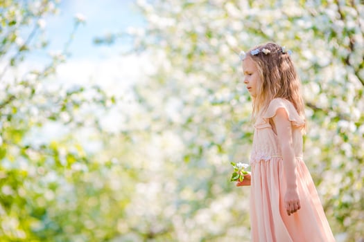 Adorable little girl in blooming apple garden on beautiful spring day photo