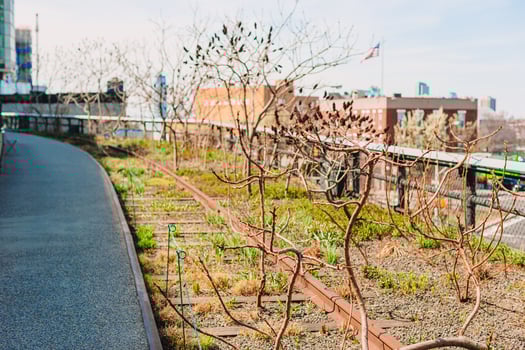High Line Urban park in New York photo