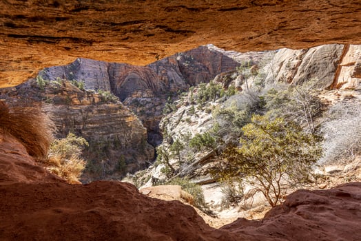 Impression from hiking trail to Pine Creek Canyon overlook in the Zion National park in winter photo