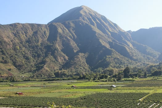 View of the Sembalun village of Lombok, Mount Rinjani, the hills of Sembalun Lombok photo