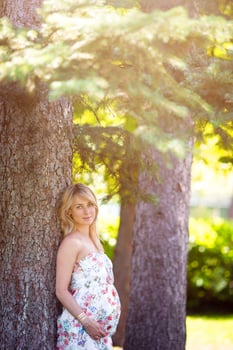 Pregnant woman in outdoor park, warm weather photo