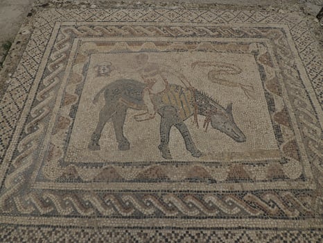 mosaic in Volubilis Roman ruins in Morocco- Best-preserved Roman ruins located between the Imperial Cities of Fez and Meknes photo