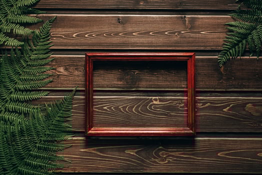 fern leaves on dark wooden background with frame photo