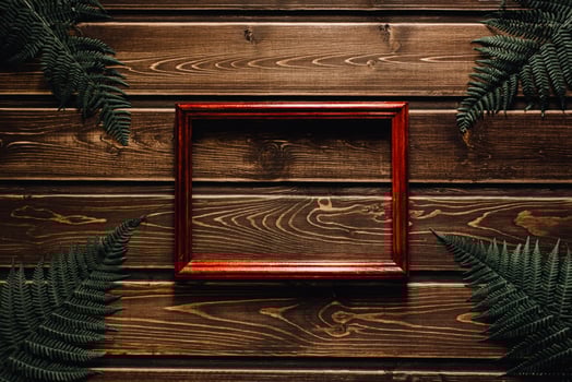 fern leaves on dark wooden background with frame photo