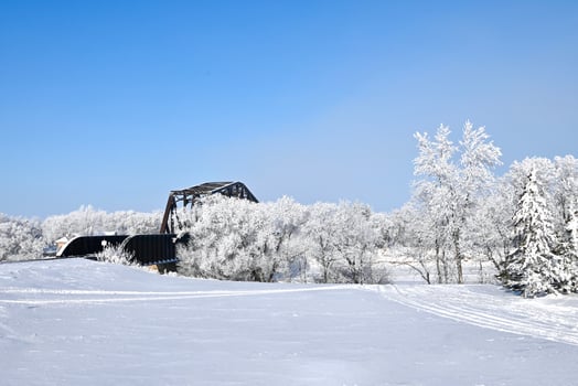 a railway bridge hidden by frost covered trees photo