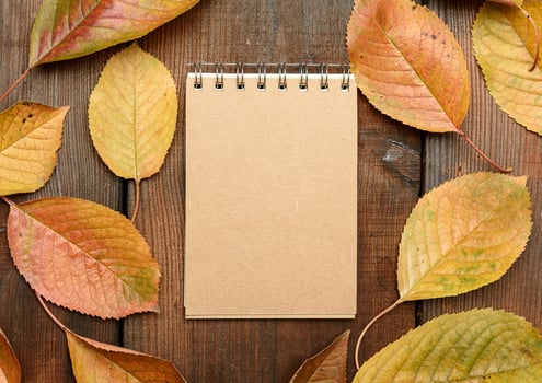 open notebook with blank brown sheets and yellow cherry leaves photo