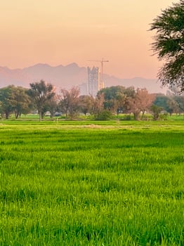 Landscape view of Mountains and trees green field and mountains photo