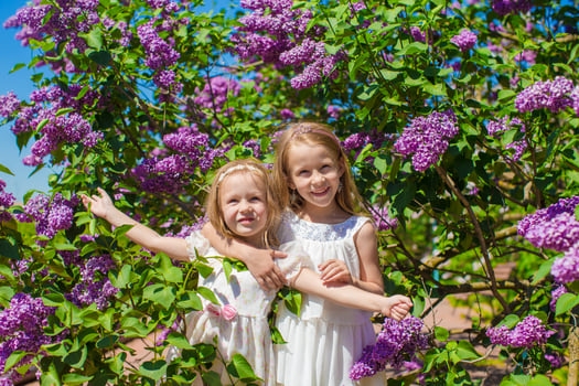 Little sisters with flowers in the garden photo