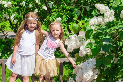 Little sisters by beautiful white flowers photo