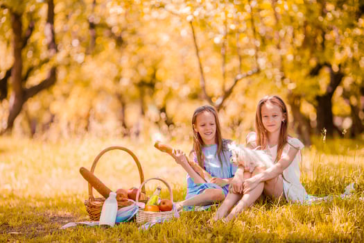 Two little kids on picnic in the park photo