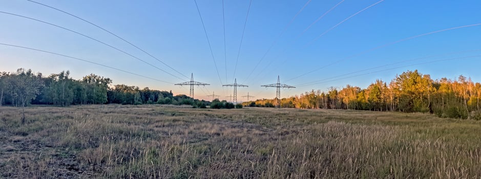 Panoramic view of a power line along a cutting in a forest photo
