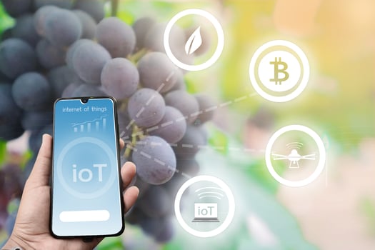 Futuristic businessman farms vegetables and crops using modern AI technology using mobile phones, temperature and humidity sensors, water tracking, climate control, holographic data data icons. photo