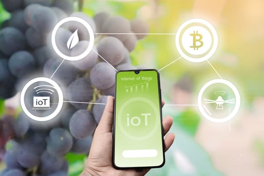 Futuristic businessman farms vegetables and crops using modern AI technology using mobile phones, temperature and humidity sensors, water tracking, climate control, holographic data data icons. photo