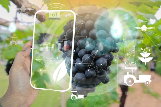 Smart farm system that uses clean energy photo
