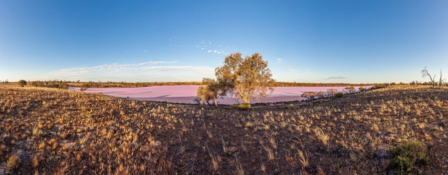 Panoramic view of pink Lake Crosbie in South Australia's Murray-Sunset national park photo