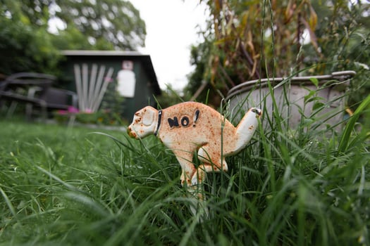 a funny figurine of a dog pooping in the grass. photo