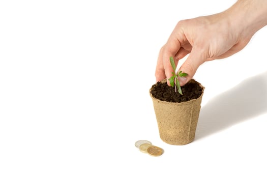 Hand of the men were planting tomato the seedlings into the ground to dry.The concept of eco-friendly packaging. photo