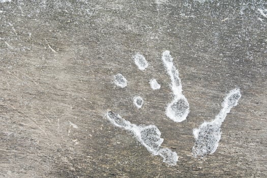 Frozen, icy palm printon a wooden surface looks terrifying. copy space. Copy space. Flatley. photo