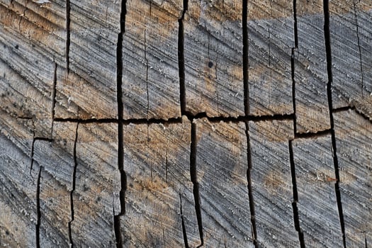 close up of wood texture with natural fibers, board material for construction photo