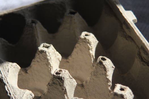 Empty egg cartons in the evening sunlight. photo