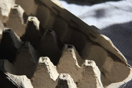 Empty egg cartons in the evening sunlight. photo
